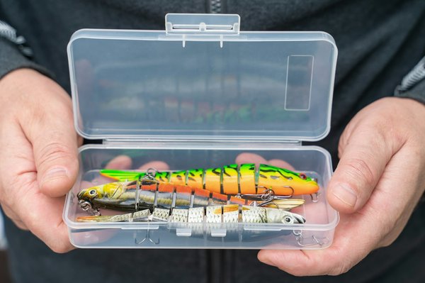 Leurres carnassiers pour débutants : guide simple pour choisir vos premiers leurres